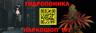 стаф Гагарин
