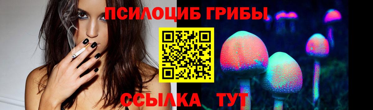 Муром  Галлюциногенные грибы прущие грибы  Вход с VPN  Галлюциногенные грибы Magic Shrooms 